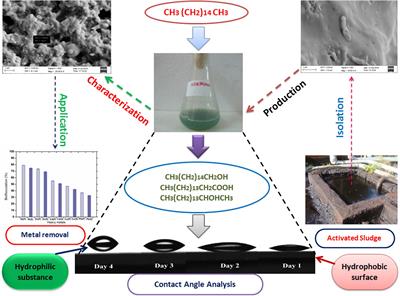 Characterization of a Novel Polymeric Bioflocculant Produced from Bacterial Utilization of n-Hexadecane and Its Application in Removal of Heavy Metals